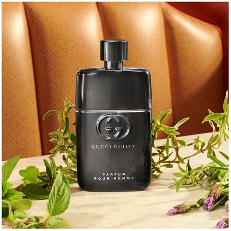 guilty parfum pour homme - gucci|Gucci Guilty parfum fragrantica.